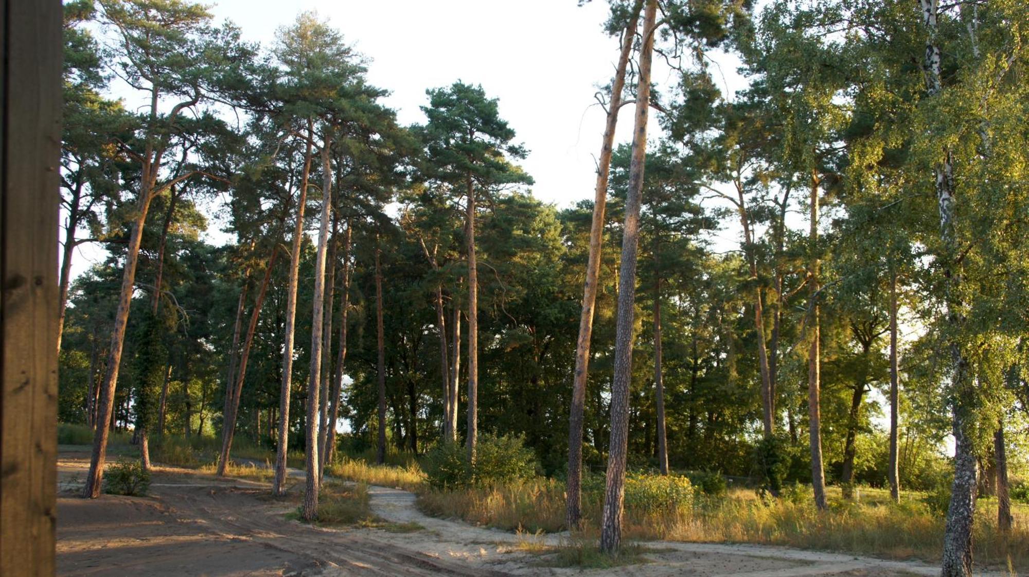 Marina Maisonette Seeblick Mit Pool Und Sauna Bad Saarow Eksteriør bilde
