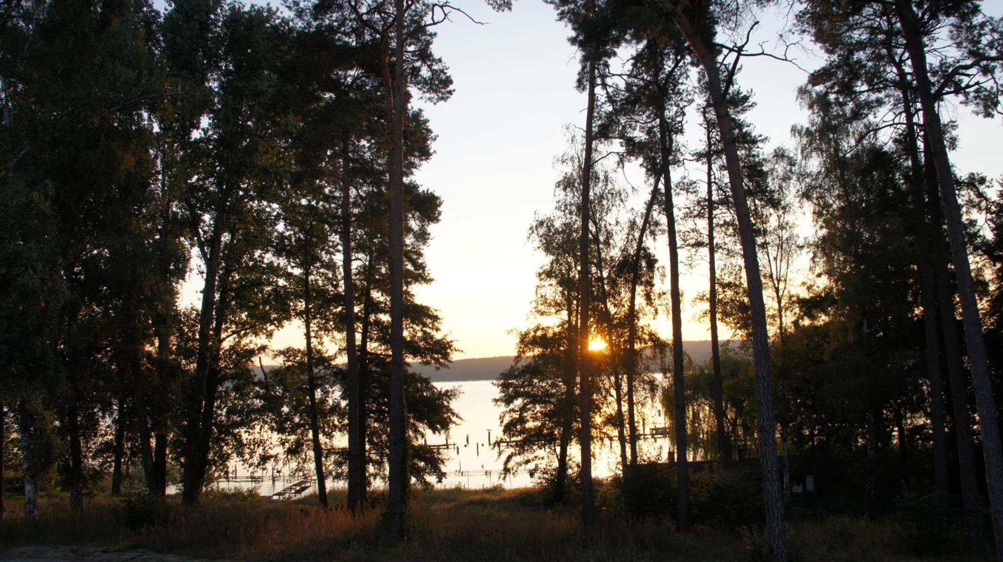 Marina Maisonette Seeblick Mit Pool Und Sauna Bad Saarow Eksteriør bilde